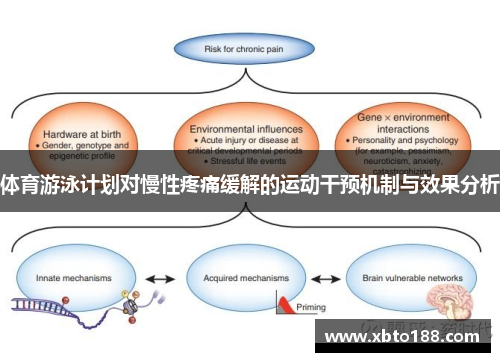 体育游泳计划对慢性疼痛缓解的运动干预机制与效果分析