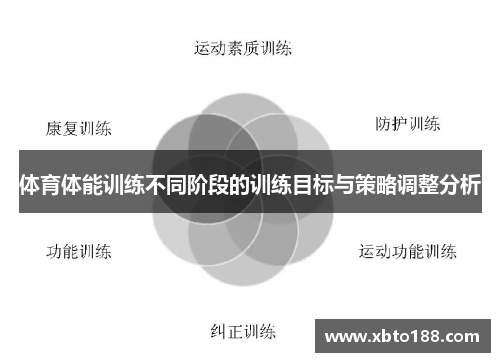 体育体能训练不同阶段的训练目标与策略调整分析